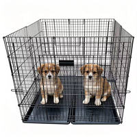 Cage pliable pour chien, empilable, vente en gros, haute, durable, en métal, pour l'extérieur, avec plateau coulissant en plastique pour petites races