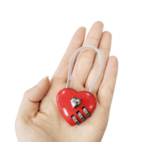 Mini serrure à mot de passe en forme de cœur, petit cadenas métallique à combinaison de Code à 3 chiffres pour sacs de voyage