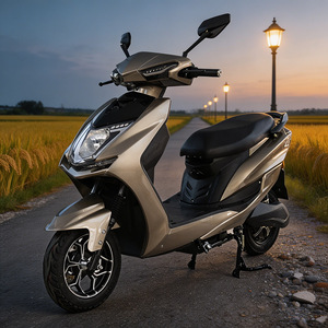 Scooter Elettrico CKD SKD da 10 Pollici per 2 Persone, <span class=keywords><strong>600</strong></span>/800W, Velocità 50km/h, Moto Elettrica a 2 Ruote per <span class=keywords><strong>Sport</strong></span> all'Aperto - Product Image 1