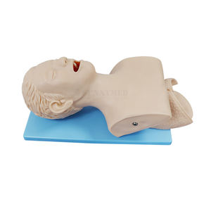 SY-N044卸売電子Trachea挿管マネキン - Product Image 6