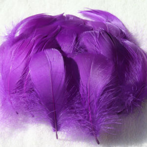 100 unids/bolsa al por mayor a granel barato Natural colorido carnaval plumas decorativas para manualidades sombreros vestido atrapasueños - Product Image 5