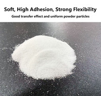 Poudre blanche thermofusible DTF, super douce, haute élasticité, sac de 1 kg de colle adhésive TPU, pour l'impression de t-shirts TDF