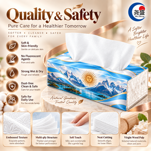 Pañuelos Faciales Suaves con Diseño de <span class=keywords><strong>Argentina</strong></span>, con Relieve del Sol de Mayo, 5 Capas, Entremezclados, para Viaje - Product Image 4