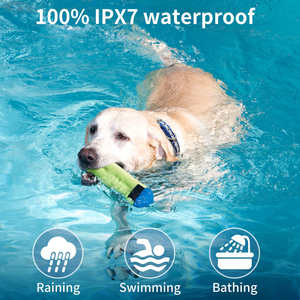 Waterproof Dog Training <strong>Collar</strong> Remote Control Dog Trainer 3 Models <strong>Anti</strong> <strong>Barking</strong> <strong>Pet</strong> Training <strong>Collars</strong> for Small Medium Large Dogs - Product Image 4