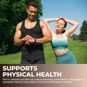 ヴィタホール 100% クレアチン一水和物パウダー パケット クレアチン個別包装パケット 微粉化クレアチン マッシュルームパウダー - Product Image 3