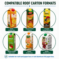 Remplisseur de cartons pour boissons (pulpe/granulés) pour lait, yaourt, boissons, jus, boissons céréaliers, thé, café, crème