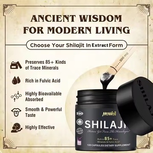Resina de shilajit orgánica pura del Himalaya OEM/ODM 600mg, que contiene varios minerales traza, soporte inmunológico, 120 cápsulas GMP NSF