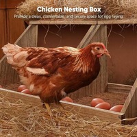 Gallinero de Madera Maciza para Montar en la Pared, Modelo 20250625, para una o dos Gallinas de Raza Mediana