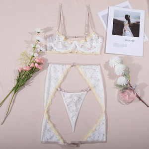 New Women's Sexy Underwear Embroidery <b>Perspective</b> Passionate Temptation Underwear Set T-thong Fun Underwear - Product Image 4