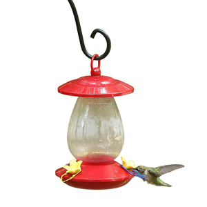 Vogels Feeder Glas Materiaal Beste Kwaliteit Kolibries Feeder Thuis Gebruik - Product Image 5