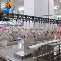 ZB Abattoir Abattoir Mini Abattoir De Poulet Machine Halal Volaille Traitement Poulet Cueillette Viande Trancheuse Machine