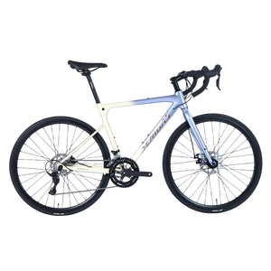 2025 Offre Spéciale course vélo <span class=keywords><strong>de</strong></span> <span class=keywords><strong>route</strong></span> 700C cadre en alliage avec frein à disque fourche en aluminium matériel en gros - Product Image 2