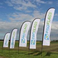 Pôle de drapeau extérieur en acier inoxydable d'usine avec fanion en tissu d'impression numérique de bannière de larme pour la publicité de vol de plage