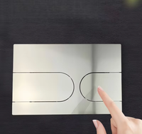 Plaque de chasse d'eau dissimulée en acier inoxydable à double chasse, panneau de toilette mural moderne, vente en gros OEM, toilette murale personnalisée pour hôtel