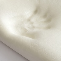 Oreiller ergonomique moderne en mousse à mémoire de forme pour le cou, orthopédique, pour un sommeil sain, conception OEM ODM