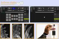 Sistem Sensor Rontgen Gigi Hewan Profesional dengan Perangkat Lunak Pencitraan Gigi Anjing dan Kucing yang Canggih