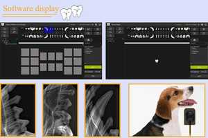 Cảm biến <span class=keywords><strong>RVG</strong></span> nha khoa kỹ thuật số USB IRay Pluto 0001X/ Pluto 0002X Hệ thống chụp ảnh kỹ thuật số CMOS APS - Product Image 6