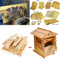 Hangar automatique 7 pièces cadre de ruche de miel de ruche de ruche avec boîte de couvain d'apiculture en bois de cèdre