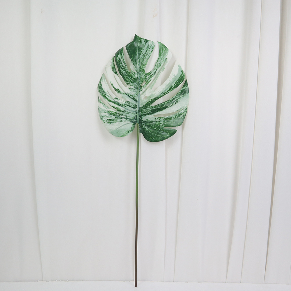 Bianco verde - 60 cm