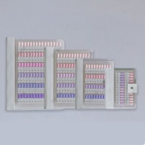 Venta al por mayor de fábrica, personalizado OEM/ODM, tablero expositor magnético individual para uñas, placa acrílica para uñas, libro de cartas de colores 240/270/450 - Product Image 1