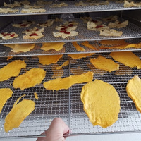 80 Trays Industriële Dehydrator Machine Hoge Capaciteit Voor Gedehydrateerd Voedsel Ce Gecertificeerd Voor Fruit & Groente Droger