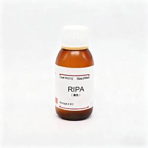 Buffer di Lisosi <span class=keywords><strong>RIPA</strong></span> ad <span class=keywords><strong>Alta</strong></span> Resistenza per Estrazione Rapida di Proteine Compatibile con Campioni di Mammiferi e Piante - Product Image 1