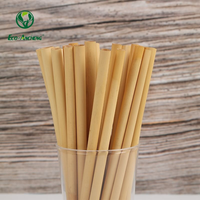 Pailles en roseau naturelles de 20 cm pour smoothies, jus, cocktails - Écologiques, biodégradables, réutilisables, pour les voyages