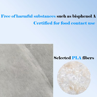 100% entièrement biodégradable, fibre de maïs PLA, haute qualité, 25GSM, matériau en fibre PLA, vente en gros de rouleaux de sachets de thé, tissu non tissé spunbond