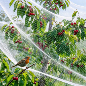Filet en nylon transparent blanc de marque propre pour jeunes arbres de fruit de la passion, vergers de cerises, pépinières, agroforesterie et bassins - Product Image 4