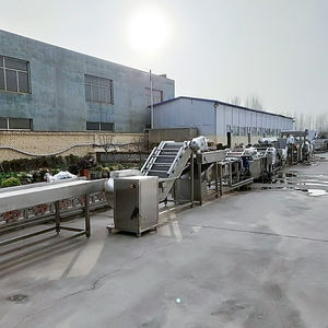 Machine à frites longue Zhengzhou Furui/grande ligne de production industrielle de croustilles/ligne de production de frites - Product Image 2