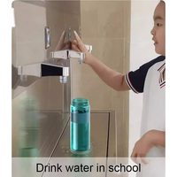 En Gros Bouteille d'Eau Filtrante Portable de 500 ml avec Filtre à Charbon Actif pour le Camping, la Randonnée, la Consommation et les Situations d'Urgence
