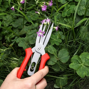 Sécateur de jardin en acier inoxydable pour la <span class=keywords><strong>taille</strong></span> des pommes et des poires, cisaille à double embout pour plantes et arbres - Product Image 1