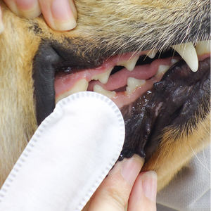 Lingette dentaire pour le nettoyage des dents des animaux de compagnie, hygiène buccale des doigts - Product Image 3