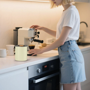 Hộp đựng thực phẩm họa tiết xương rồng kiểu Tây, hộp đựng cà phê kim loại hút chân không, bộ hộp đựng nhà bếp cổ điển - Product Image 4