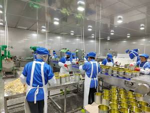 לחצן מיידי טעים טרי אוכל טבעוני ירקות יכול שיטאקה פח פטריות קש שמפיצים פטריות שלמות - Product Image 4