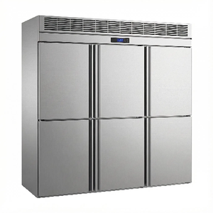 Congelador Comercial de Grado Industrial con 6 Puertas |   Zonas de Temperatura Convertibles |   Refrigerador de Acero Inoxidable |   Eficiencia Energética A++ | - Product Image 1
