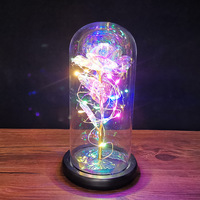 Cadeau de la saint-valentin pour la fête des mères, rose éternelle artificielle led, fleur conservée dans des vases en verre, Offre Spéciale