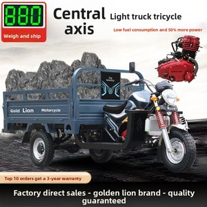 Motocicleta de Tres Ruedas Motorizada Personalizada con Eje Central, <span class=keywords><strong>Triciclo</strong></span> de Carga a Gasolina Golden Lion - Product Image 3