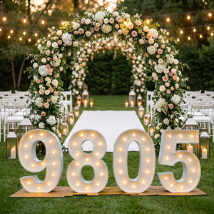 Numeri LED Neon Personalizzati da 3ft, 4ft, 5ft, Insegne Luminose 3D per Scuole e Decorazioni per Feste di Matrimonio - Product Image 2