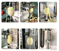 Elektrische commerciële fruitenschiller, automatische ananas-schilmachine voor op het aanrecht