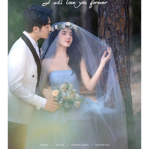 Blue Strapless Tulle Wedding Dress Empire Waistline With Train For Forest Theme Wedding - Product Image 4