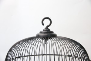 Fabrika Outlet metal tel katlanabilir kuş kafesleri Parakeets ve diğer kuşlar papağan Perches ile üreme kafesleri uçuş kafesi - Product Image 4