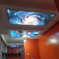 Pangui Échantillons Gratuits Film Décoratif PVC pour Plafond Tendu, Film pour Plafond Tendu Imprimé UV Personnalisé MSD