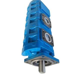 Pompe à huile hydraulique Huamao pour grue modèle 1010000017 Origine Shandong Garantie 1 an Matériel pour rapport fourni - Product Image 5