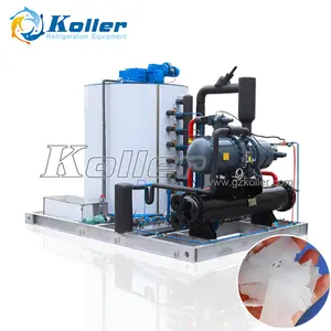 Koller Pure Ice Flake Machines for Ice Plant 20tons per 24hours Scale Ice Maker Machine