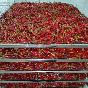 เครื่องอบแห้งพริกอัจฉริยะ OEM ขนาดใหญ่ ห้องอบพริกแห้ง อุปกรณ์อบพริกแห้ง - Product Image 3