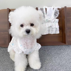 Spring Summer Floral Lace Dress For Small Medium Dogs Breathable <b>Princess</b> Cut Pet <b>Clothes</b> - Product Image 2