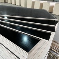 Contrachapado Recubierto de Película para la Construcción de Cimentaciones y Pilares, Núcleo de Madera Dura de Alta Resistencia, Contrachapado Reutilizable para Encofrados