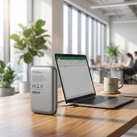Batterie externe portable OEM à affichage LED, mini chargeur rapide PD 20W, vente en gros, batterie externe magnétique sans fil 5000mAh