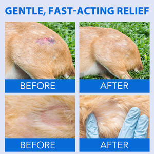 Worafy Offre Spéciale 120ml chiens chats cicatrisation des plaies points chauds <span class=keywords><strong>Spray</strong></span> réparation des plaies <span class=keywords><strong>Spray</strong></span> <span class=keywords><strong>pour</strong></span> animaux de compagnie soulagement des allergies - Product Image 3